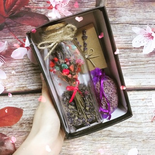 Set quà tặng Lavender mini xinh xắn( Sale off chỉ còn 99k)
