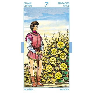 Bộ Bài Universal Tarot (Guu Tarot Shop)