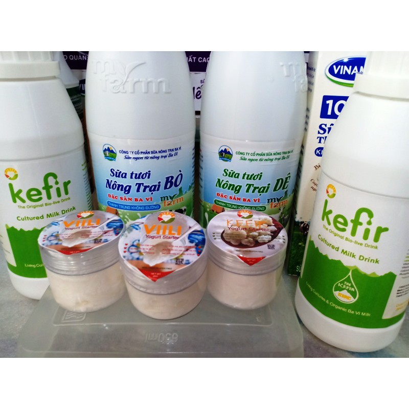 Men Sữa Viili Tươi - VIILI YOGURT STARTER - ORGANIC BA VÌ. Mua một lần dùng mãi mãi.