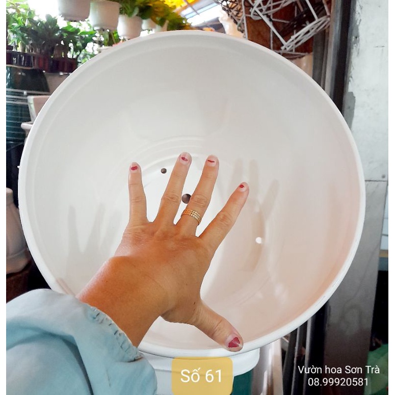 CHẬU NHỰA CỨNG đáy thấp.