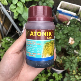 Thuốc kích thích tăng trưởng Atonik hũ 100ml