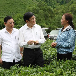 Trà  Thái Nguyên _ 1kg