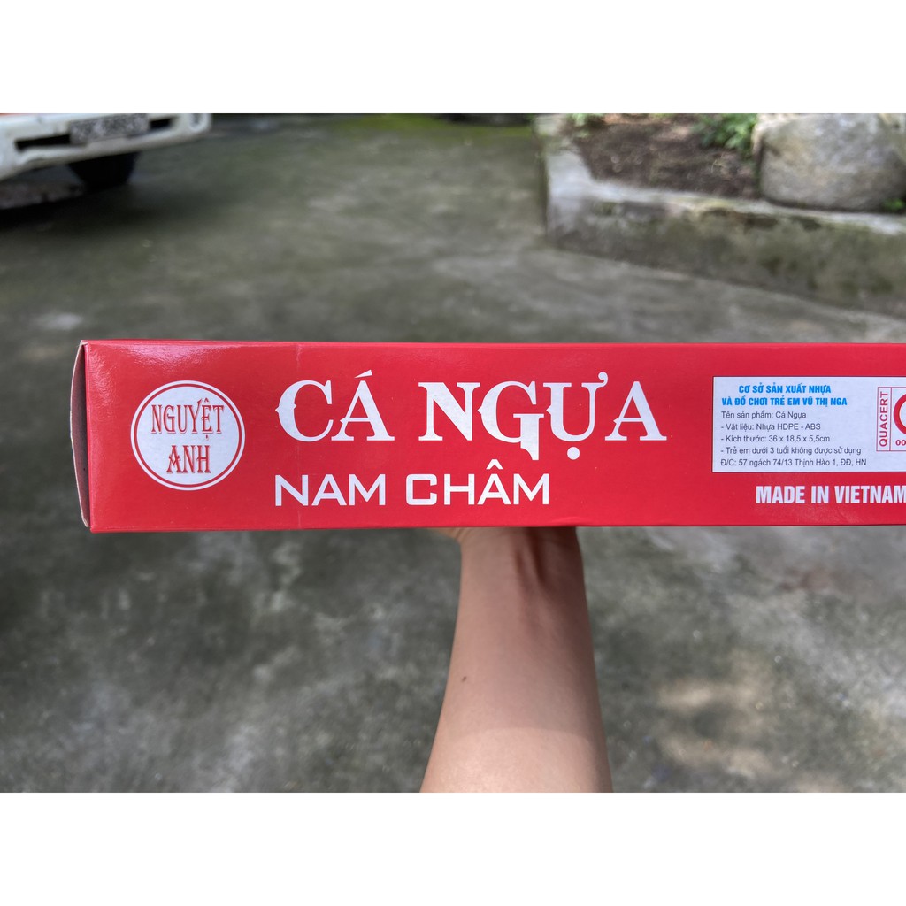 BỘ ĐỒ CHƠI CÁ NGỰA NAM CHÂM ĐẠI NGUYỆT ANH KT 36X18.5X5.5 CM