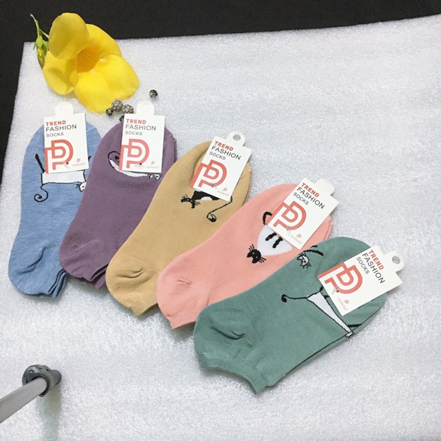 Set 5đôi vớ cổ ngắn/ tất hài nữ