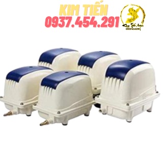 Máy sủi oxy jecod PA - 35 - 45 - 60 - 100