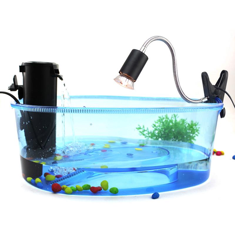 Bể rùa cảnh mini chất lượng