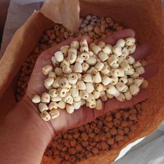 1kg Hạt sen khô Đồng Tháp