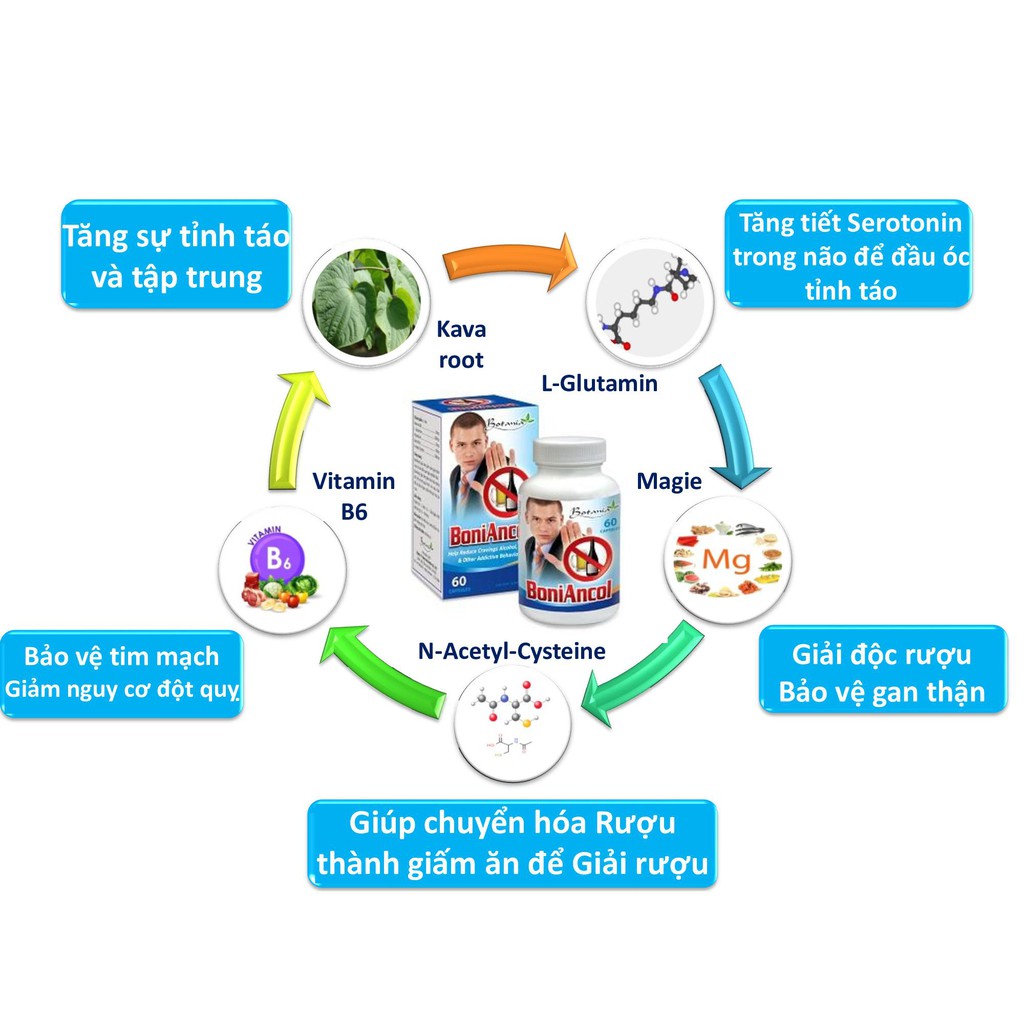 BoniAncol- Hỗ trợ cai rượu, giải rượu hiệu quả, bảo vệ Gan, Thận khỏi các tác hại của bia Rượu