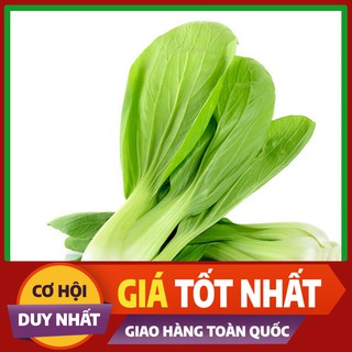 Hạt giống Cải Chíp - rau ăn lá ngắn ngày