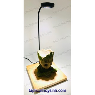 KỆ GỖ BAMBOO ĐÈN LED CHO BÁN CẠN