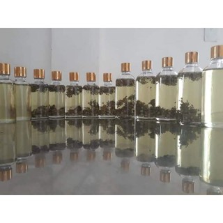 Tinh dầu tràm hoa nén