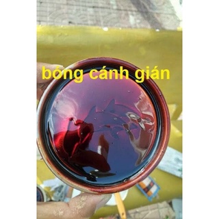 Sơn bóng cánh gián DOLPHIN 800g