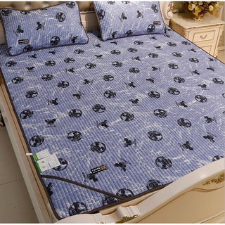 Chiếu điều hòa, chiếu tencel 2m x 2.2m cao cấp