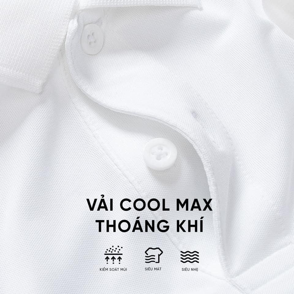 POLO NAM TRƠN (CÁ SẤU 100% COTTON) | BigBuy360 - bigbuy360.vn