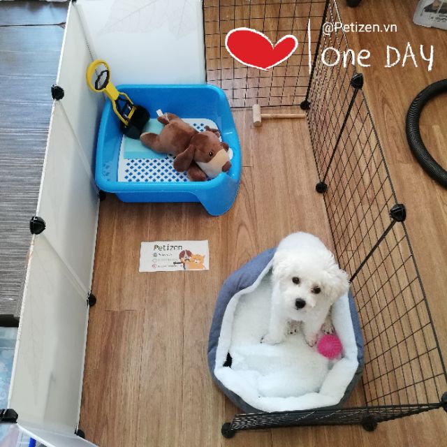 [Bán lẻ] Tấm lưới sắt, Tấm nhựa, chốt khóa tạo chuồng quây thông minh