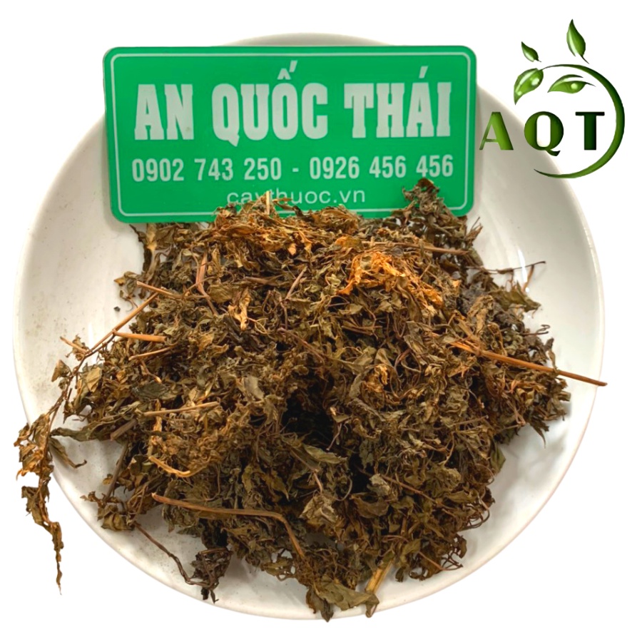 500g Lá Đinh Lăng Khô, Lá Nếp Nhỏ (Thơm, Sạch) Lợi Sữa Cho Mẹ, Làm Gối Bé Ngủ Ngon