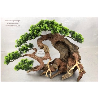 LŨA BONSAI CHO HỒ THỦY SINH SIZE NHỎ