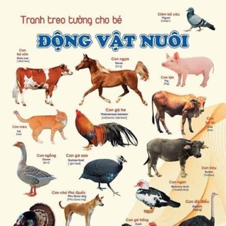 Bô tranh treo tương cho bé