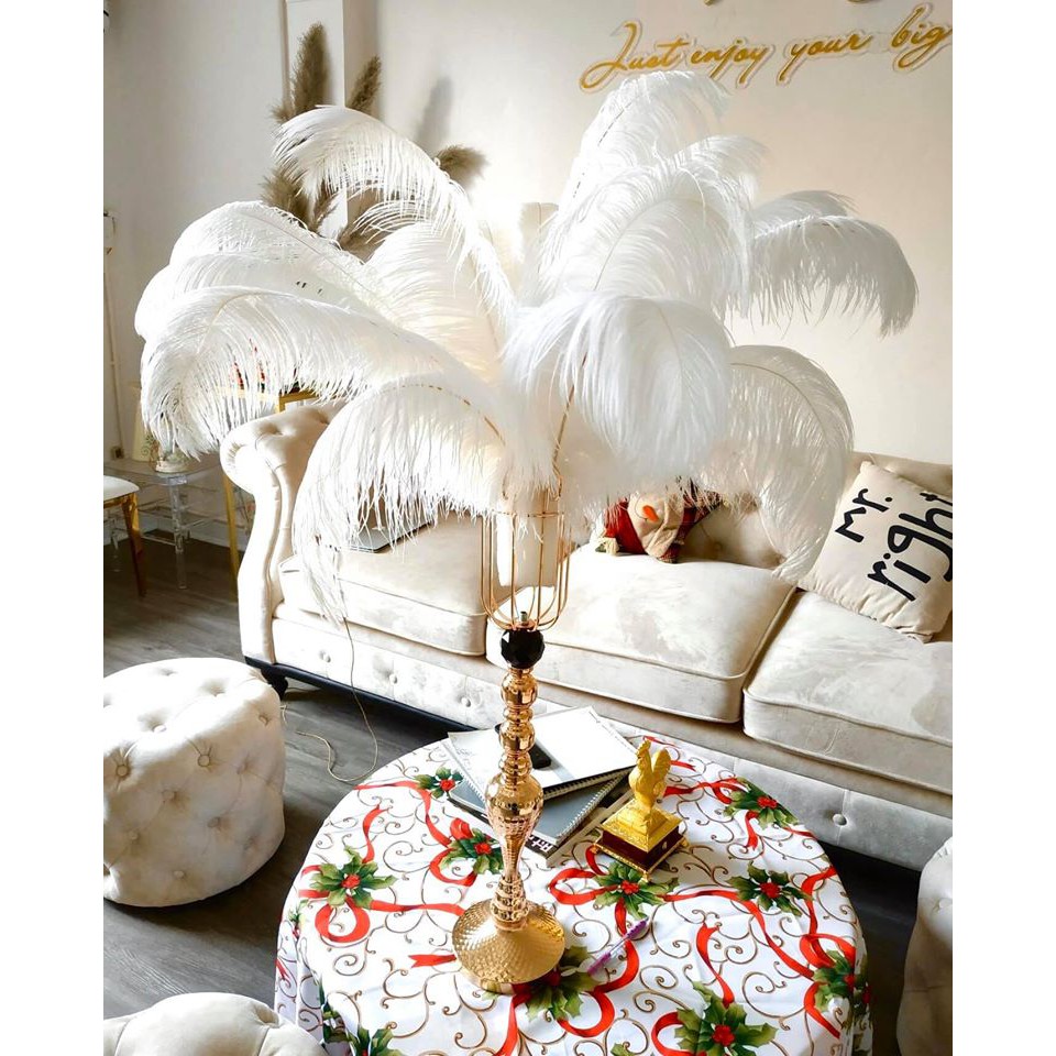 Lông đà điểu, lông vũ trắng đạo cụ chụp ảnh studio, trang trí bàn decor, tiệc cưới, showroom nhiều kích thước