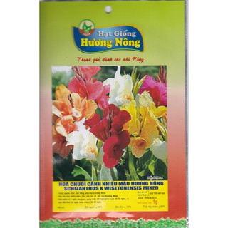 Hạt Giông Hoa Chuối Cảnh Nhiều Màu