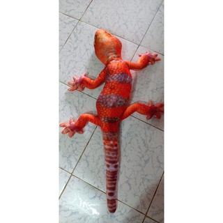 tắc kè dài 1m_Gia Khải