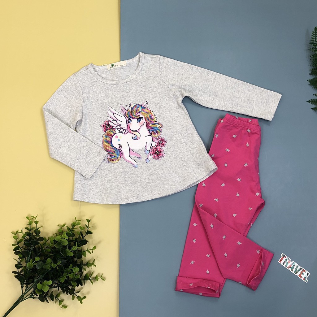 Bộ cotton thu đông đính hình Pony bông hoa viền kim sa dài tay bé gái size 2-8T, cho bạn từ 11-25kg. Chất cotton dày dặn