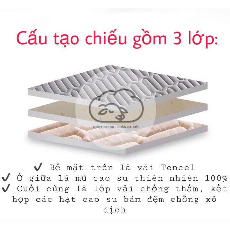 Chiếu điều hòa ❤️ Latex mủ cao su non họa tiết 5D mát lạnh chuẩn hàng loại 1 tặng kèm 2 vỏ gối Mượt Decor