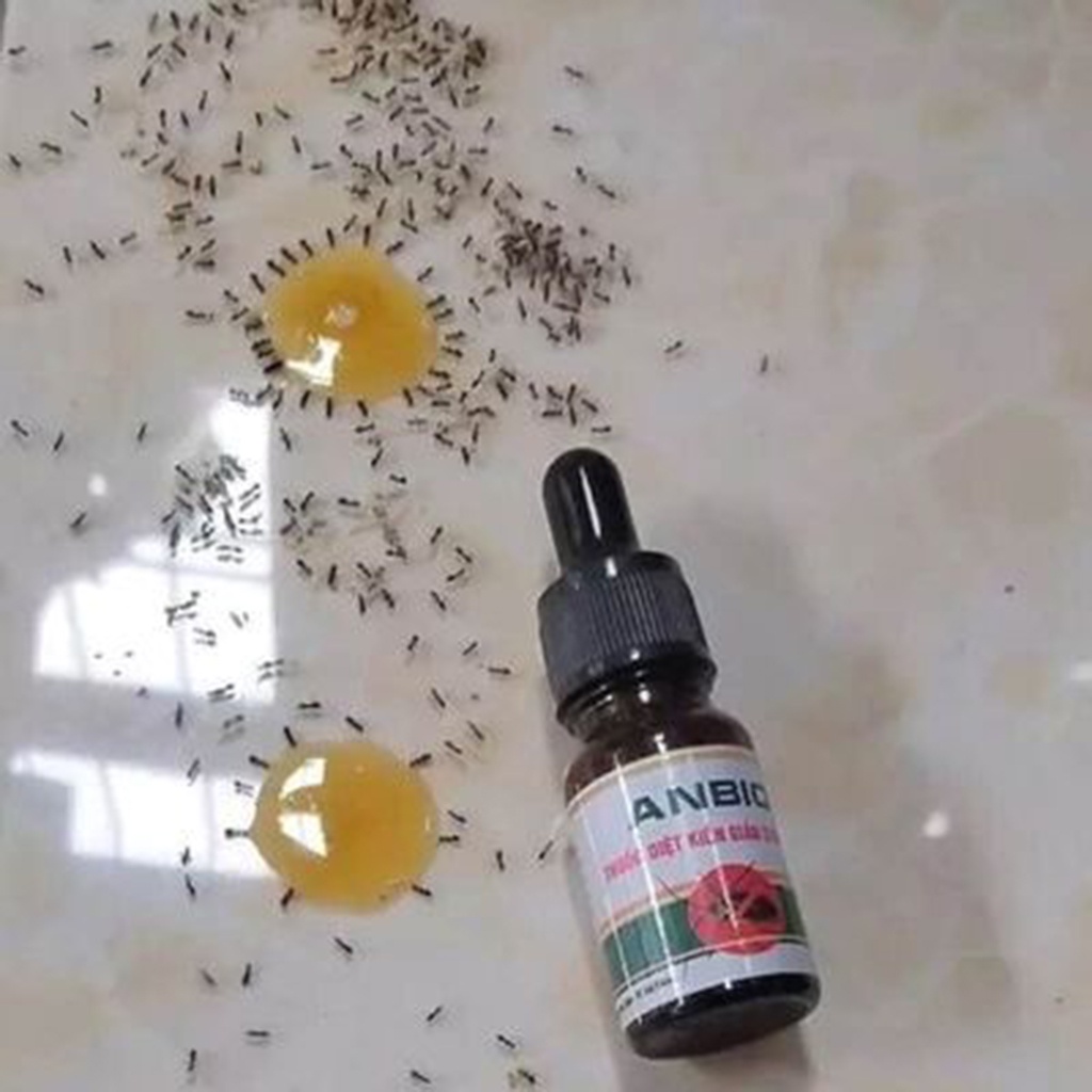 Chế Phẩm Diệt Kiến Gián Sinh Học Anbio Sử Dụng An Toàn Chai 10 ml