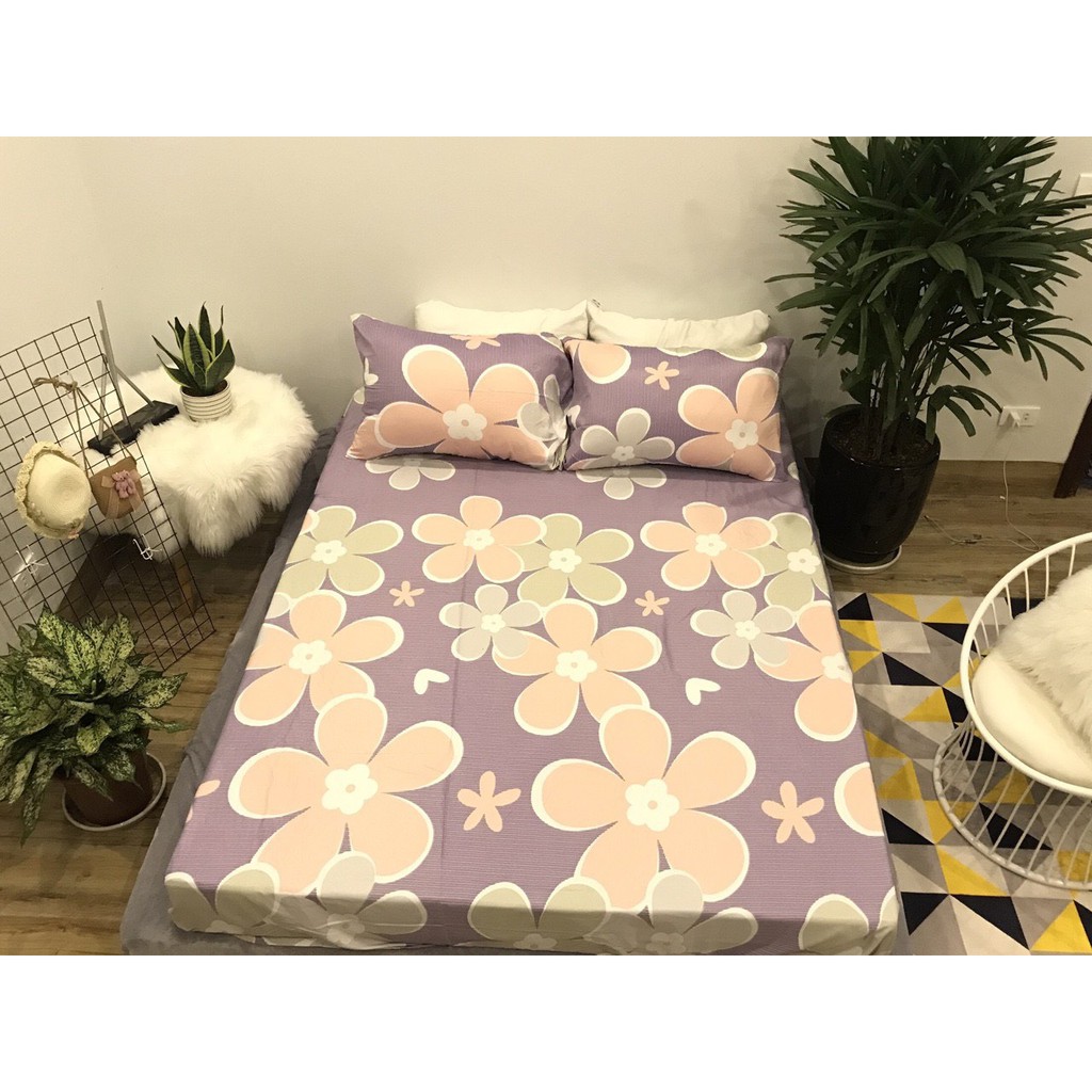 Bộ ga gối 1m6 cotton 100% nhập khẩu mềm mịn mã GGCT-01106