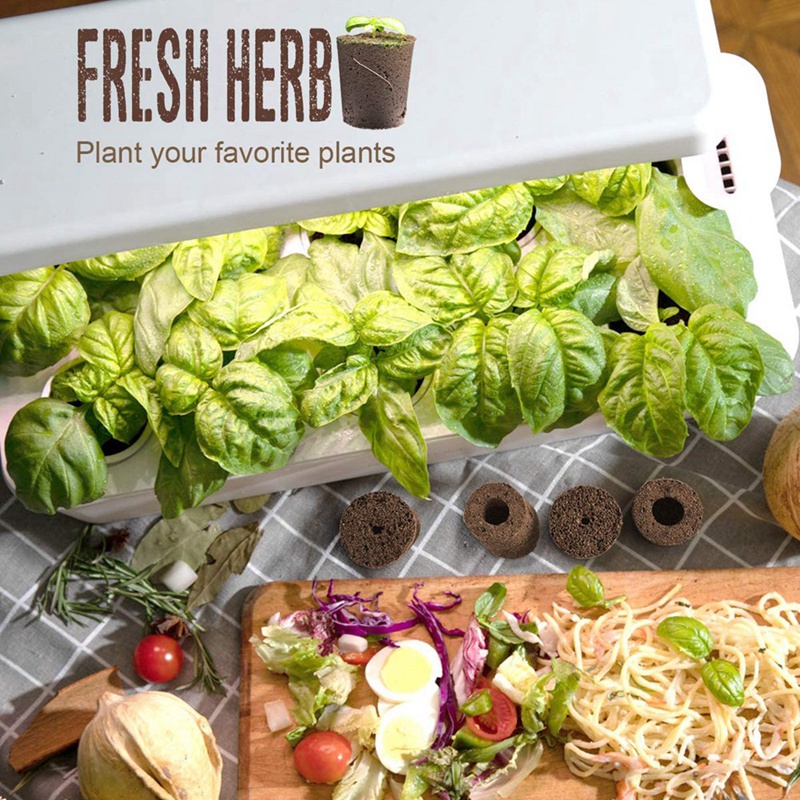 Miếng Xốp Trồng Cây Thủy Canh Thông Minh Kèm Chất Liệu Dinh Dưỡng Thay Thế Tiện Dụng Cho Sân Vườn