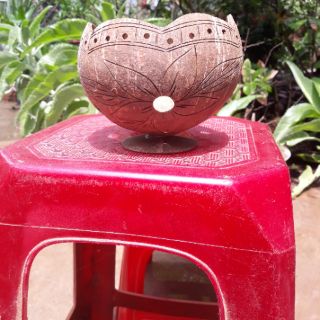 Chậu Gáo Dừa miệng kiểu có đế