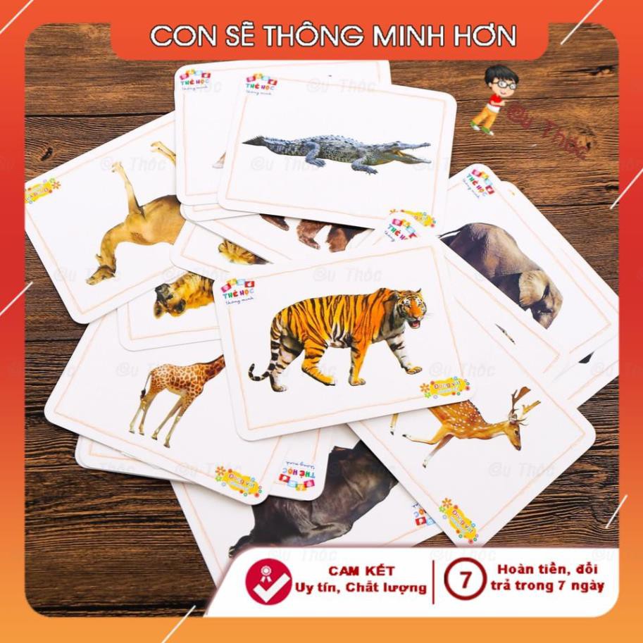 [Bb126] Thẻ học thông minh song ngữ 16 chủ đề💚FREESHIP💚Flashcard Anh Việt chủ đề động vật dưới nước