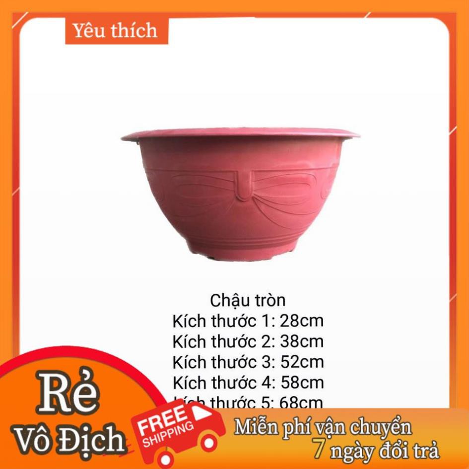 [FLASH SALE] Chậu trồng hoa sen nước T35cm chậu không đục lỗ, chậu nuôi cá