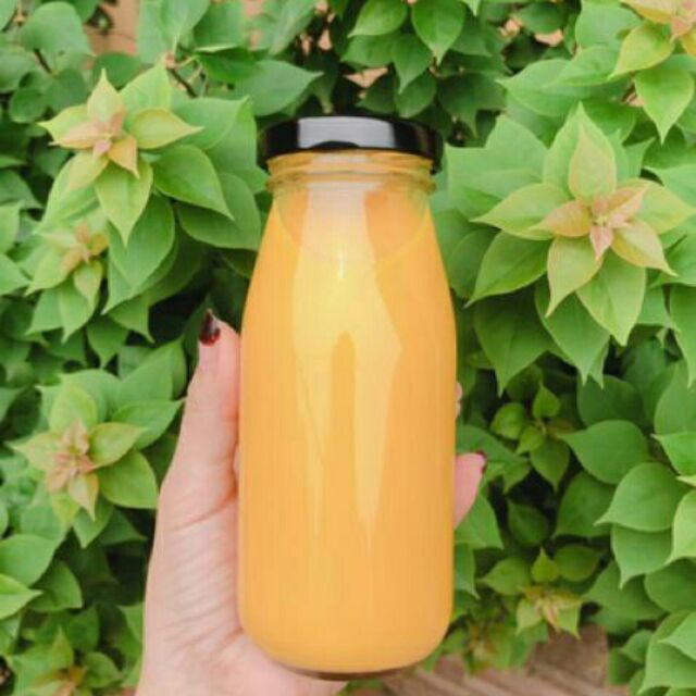 COMBO 10 Chai  Chai thủy tinh 200ml trơn Freeship 50k