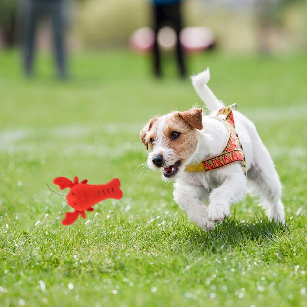 Cua Nhồi Bông Phát Ra Tiếng Kêu Dễ Thương Cho Thú Cưng