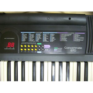 Đàn organ CTk 520l