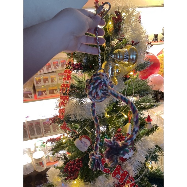 đồ chơi dành cho vẹt size trung và nhỏ