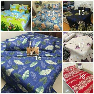 Set ga gối poly nhập mẫu mới