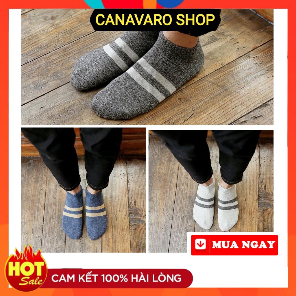 Tất nam cổ ngắn cao cấp công sở phong cách hàn quốc co giãn thấm hút mồ hôi kháng khuẩn CANAVARO SHOP CN21T