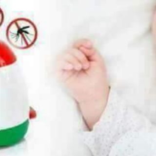 Combo 4 lọ tinh dầu đuổi muỗi
