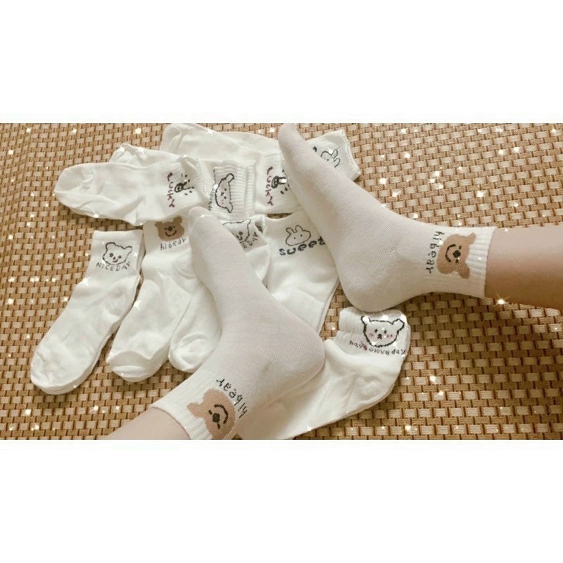 Set 5 đôi tất trắng in hình gấu thỏ cute