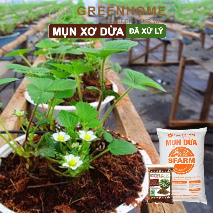 Mụn xơ dừa đã qua xử lý sfarm Greenhome, bao 1kg, chuyên trồng rau, hoa màu, dâu tây, cây ăn trái, thủy canh