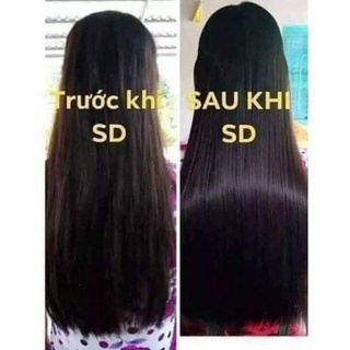 Dầu gội Thanh Mộc Hương