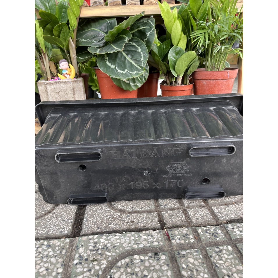 Chậu dài nhựa mini 48x20 phù hợp ban công nhỏ xinh, trồng được các loại hoa và rau