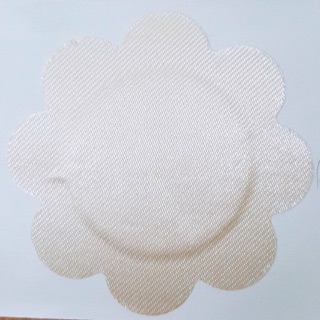 Hộp miếng dán nhũ hoa (10 miếng)