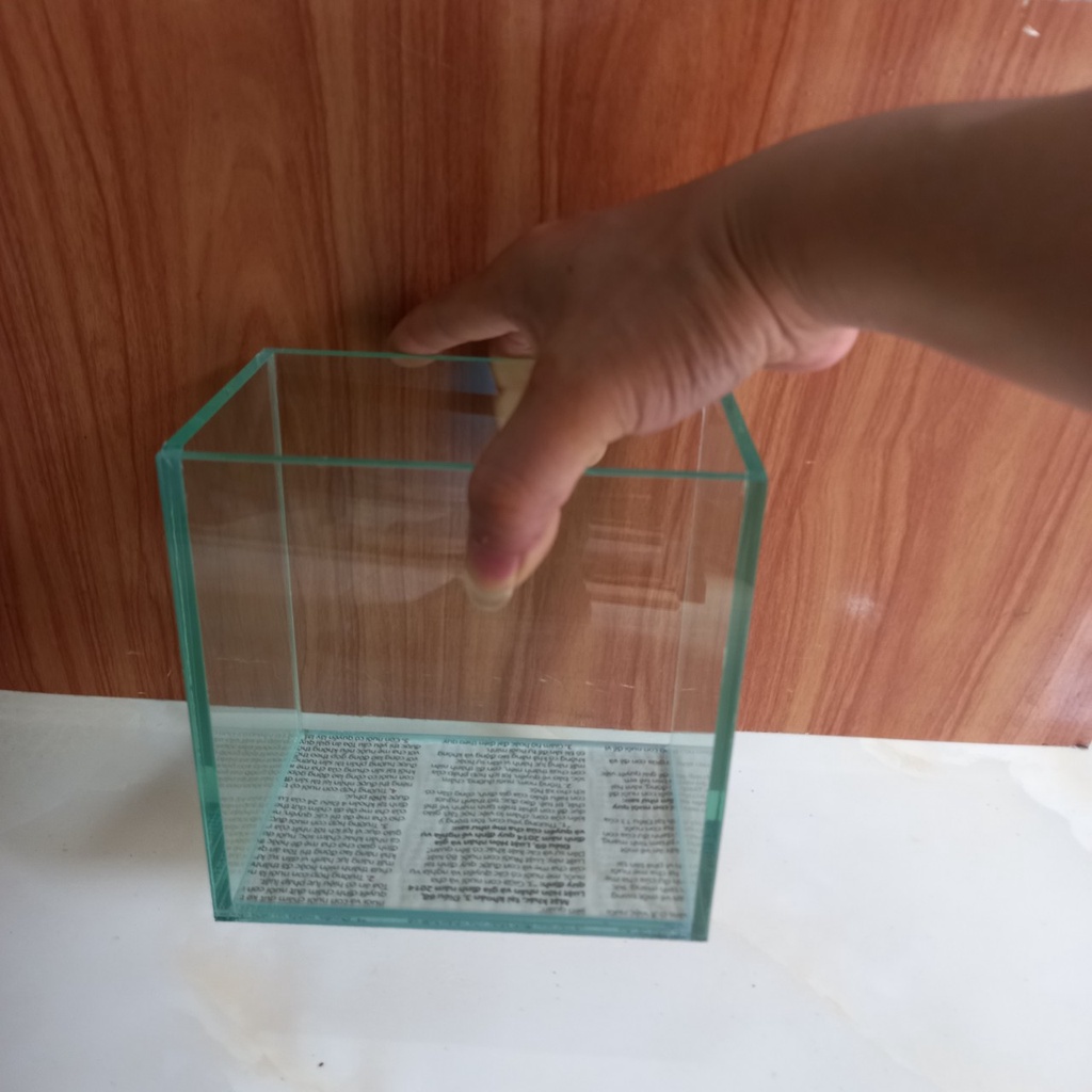 Bể Cá Betta, Guppy