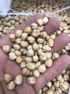 Hạt đậu gà - gói 500g