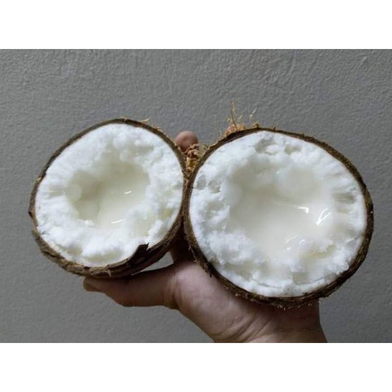 COMBO 3 SÁP BI ĐẶC LỚN 700G