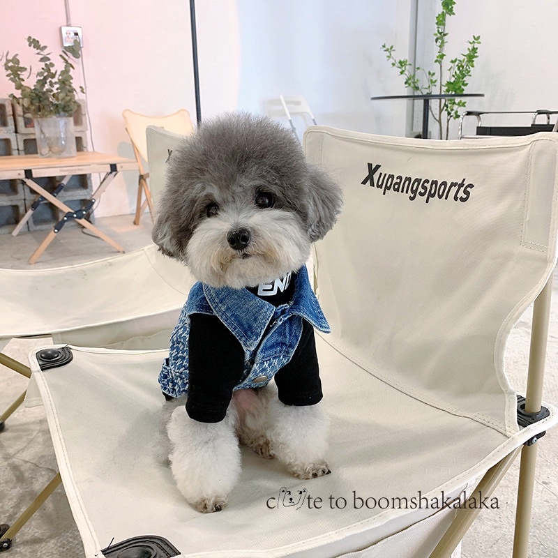 ÁO KHOÁC JEAN NY CỤT TAY CHO CHÓ MÈO