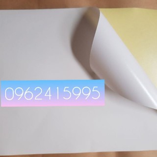 Đề can đế vàng Amazon tập 100 tờ